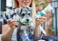 Vets-Best-Dental-zel-szczoteczka-zestaw-Adult_[10788]_1200.jpg