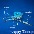 6c36ee99436eeb6227121f062d40.jpg.jpg