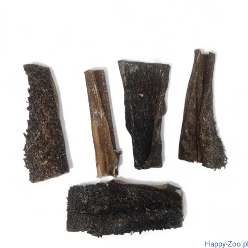 Zwacz-wolowy-2-600x600.jpg