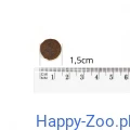 n.png