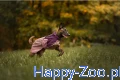 Przechwytywanie.PNG