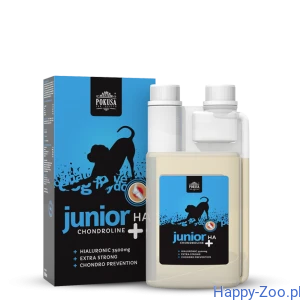 PRZECENA Pokusa Chondroline Junior + HA 500ml (30.01.2027)