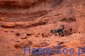 Trekking_line_harness_clip'n_sand_1_lifestyle.jpg