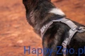 Trekking_line_harness_clip'n_sand_3_lifestyle.jpg