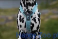 Trekking_line_harness_clip'n_ice_blue_2367-2376_4_lifestyle.jpg.jpg
