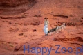 Trekking_line_harness_clip'n_sand_ice_blue_5_lifestyle.jpg