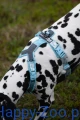 Trekking_line_harness_clip'n_ice_blue_2367-2376_8_lifestyle.jpg.jpg