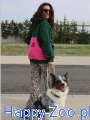 Pocket-Hoodie-Pink-Accent-2.png