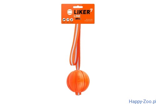 6c6289ef406ad94c2c1d4b4861277f8a