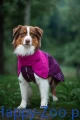114963_991153-plastenky-web-1-jpg_1.jpg