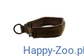 solid_collar_wd_1.webp