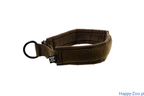 solid_collar_wd_1.webp