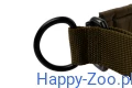 solid_collar_wd_feature_1.webp