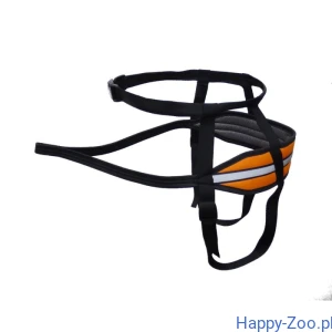 Sali Pas DISCOVERY rozmiar S/M