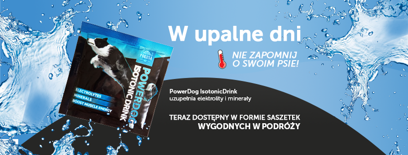 izotonik dla psa w saszetkach