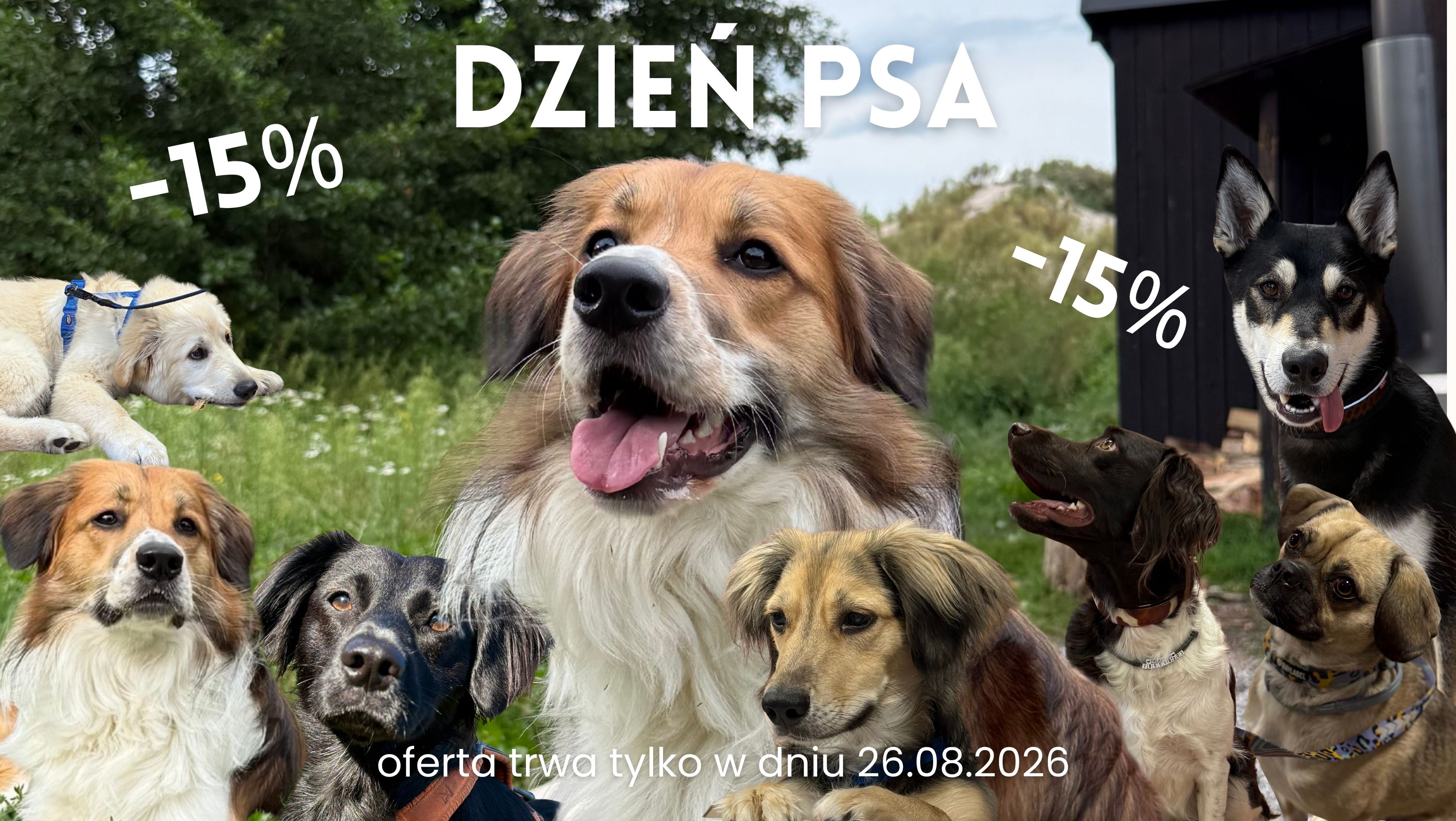Dzień psa 2026