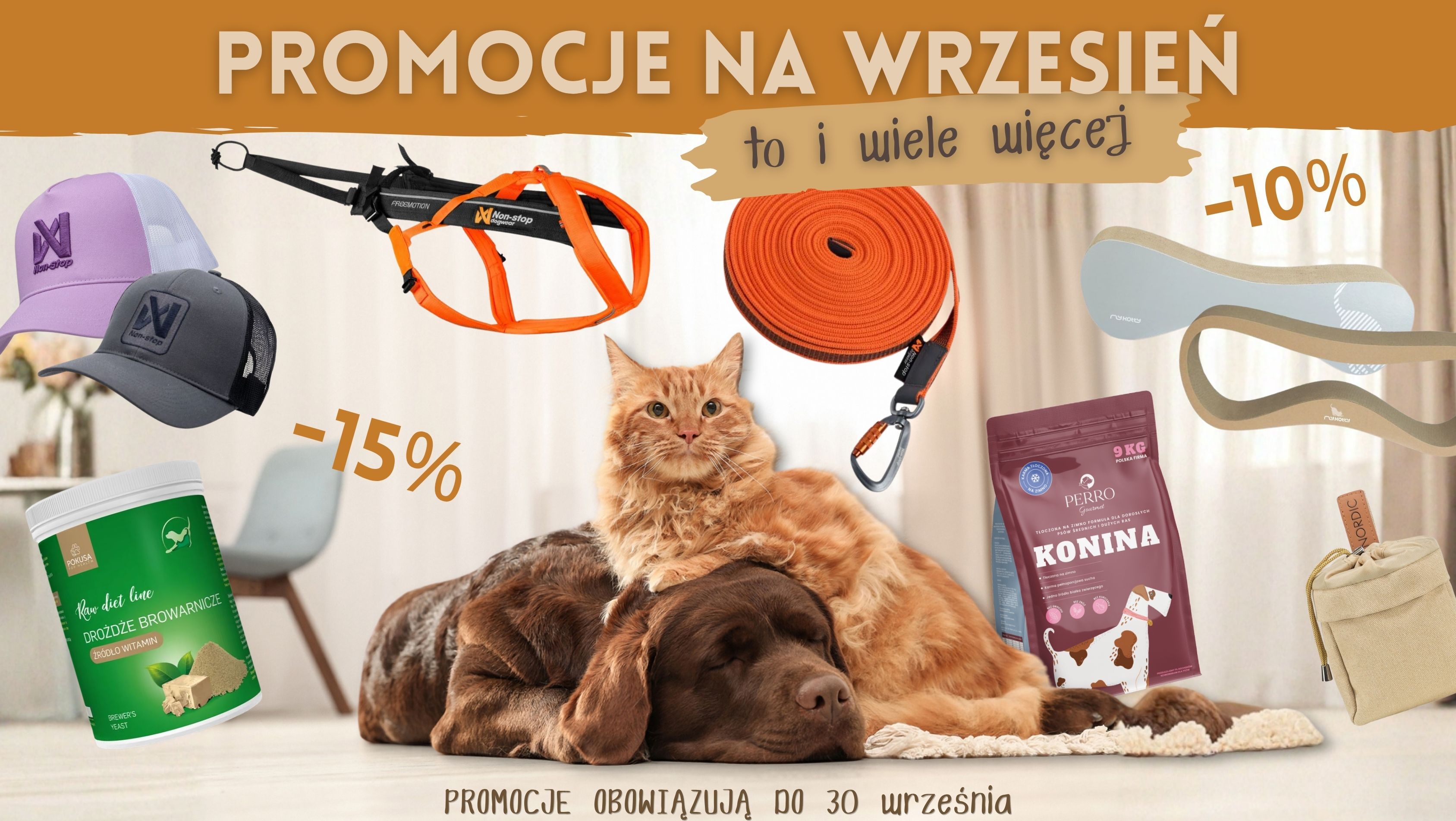 Promocje wrzesień