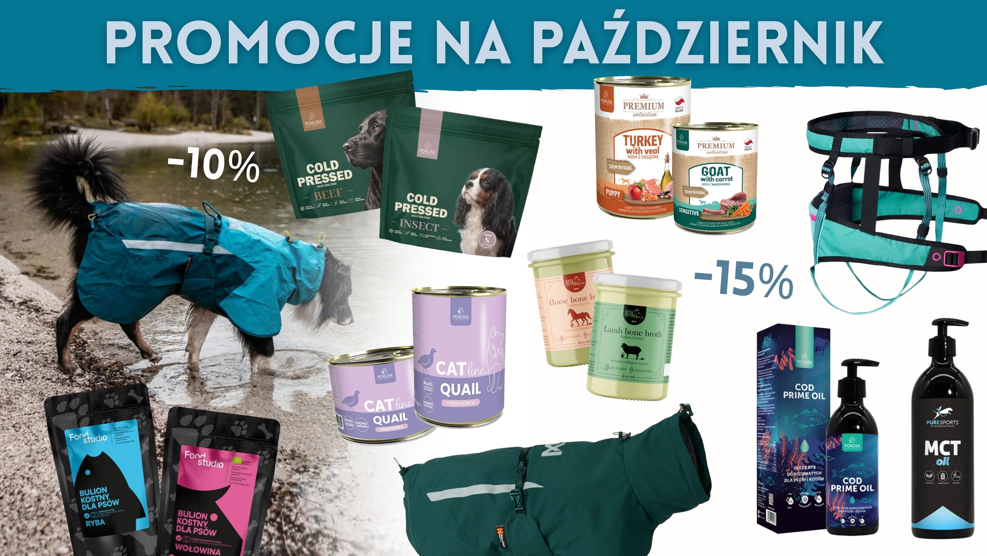 Promocje październik
