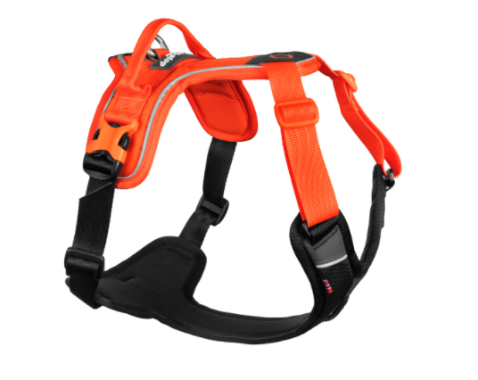 Szelki dla Psa Non-Stop DogWear RAMBLE HARNESS pomarańczowe
